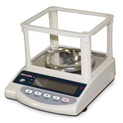 rice lake balances